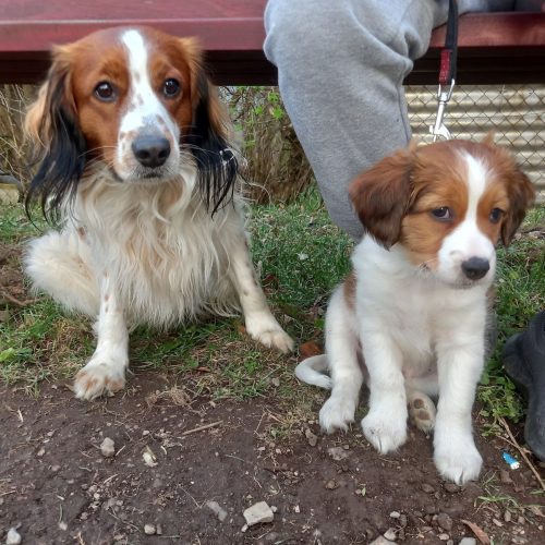 434291524 387811754059436 725093366697901401 n