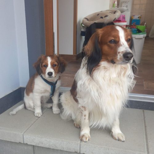 438550909 1076630416759107 4308610904876239948 n