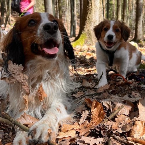 WhatsApp-Image-2024-04-07-at-22.19.25-2